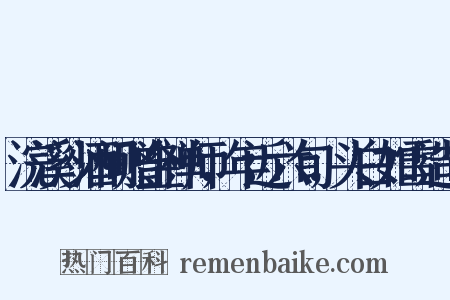 浣溪沙酒间赠金禅师，年近六旬，头白如雪造句是什么意思的图片